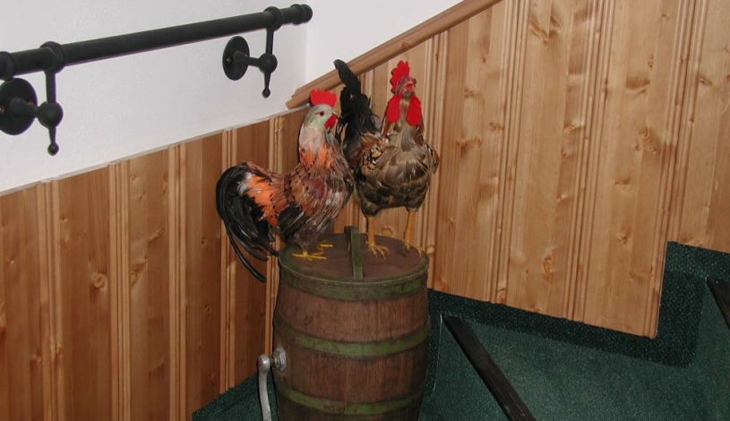 Pension Pohoda Špindlerův Mlýn